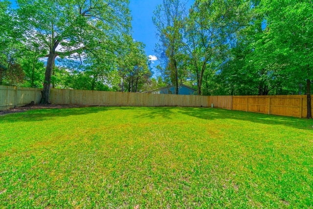 603 W Dallas St, Conroe, TX 77301 - view of yard