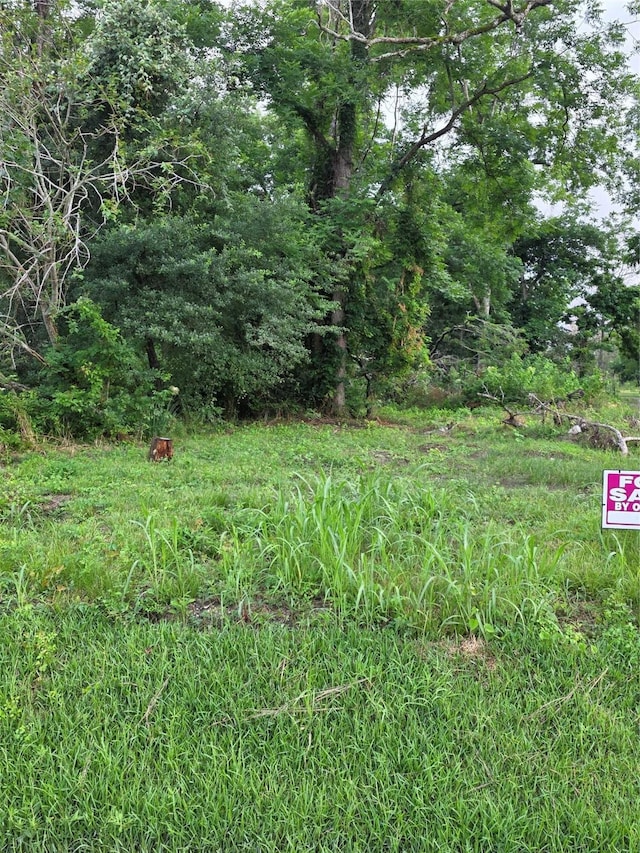 1311 W De Soto St NW, Houston, TX 77091