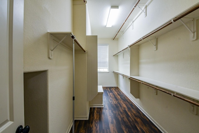 3544 Woods Estates Dr, Conroe, TX 77304 - walk in closet with dark wood finished floors