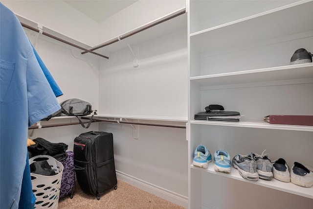 3519 Brampton Island Dr, Katy, TX 77494 - spacious closet featuring carpet flooring