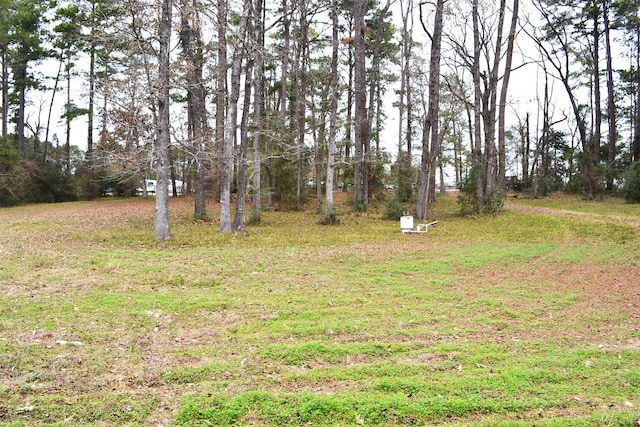 17551 W Fm 1097th Rd, Montgomery, TX 77356 - view of yard