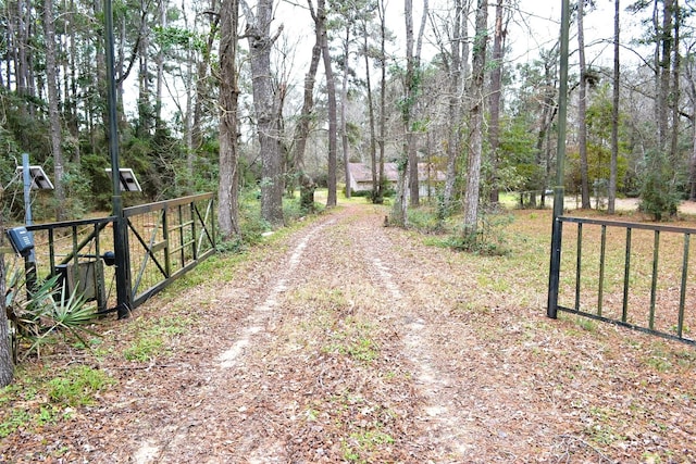17551 W Fm 1097th Rd, Montgomery, TX 77356 - view of dirt / gravel road