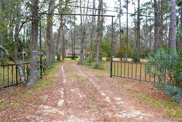 17551 W Fm 1097th Rd, Montgomery, TX 77356 - view of dirt / gravel driveway