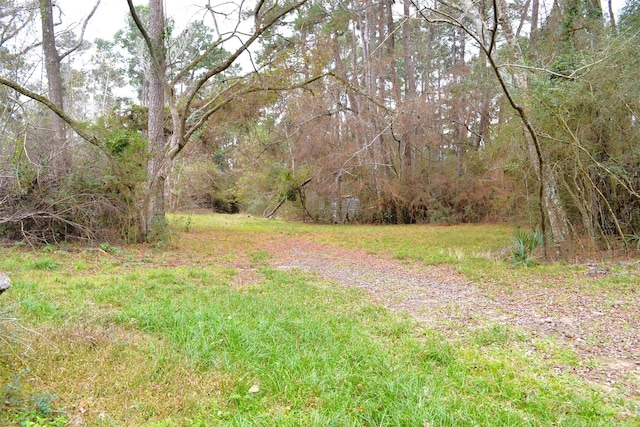 17551 W Fm 1097th Rd, Montgomery, TX 77356 - view of yard featuring a view of trees