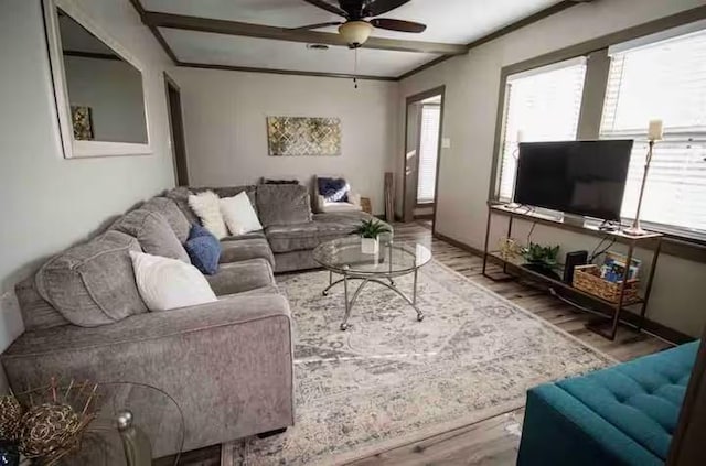 1017 Milner, College Station, TX 77840 - living area featuring wood finished floors, a ceiling fan, and baseboards