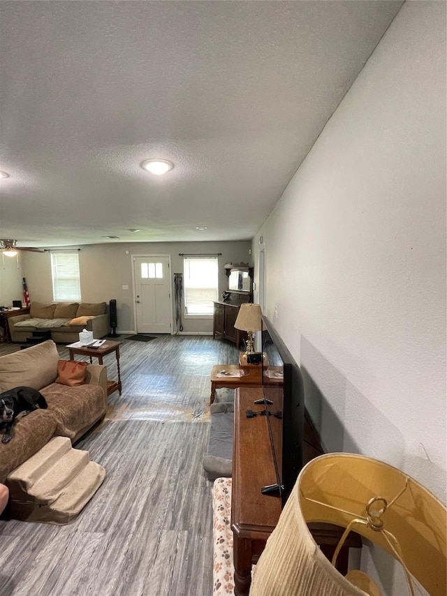 103 Prewitt Ln, West Columbia, TX 77486 - living area with a textured ceiling, plenty of natural light, wood finished floors, and baseboards