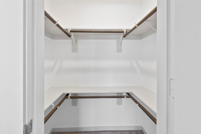 3434 Harper Meadow Ln, Missouri City, TX 77459 - view of walk in closet