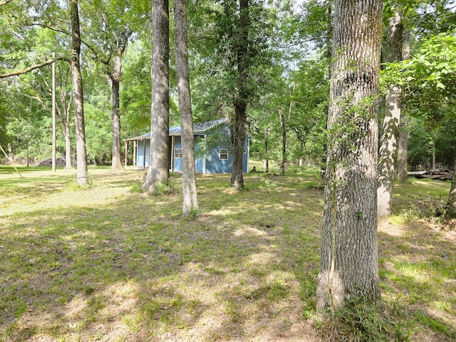 437 E Lumbermans Rd, Onalaska, TX 77360 - photo 15