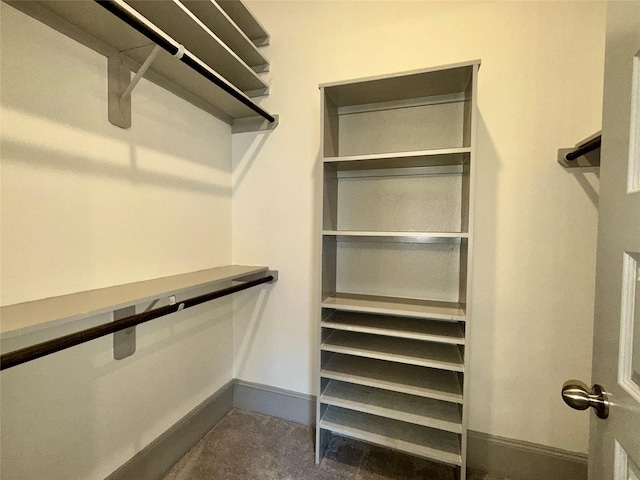 23422 Wilkinson Trl, Richmond, TX 77469 - view of spacious closet