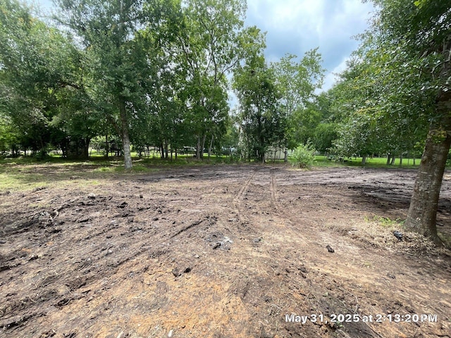 10371 County Road 909, Alvin, TX 77511 - photo 3