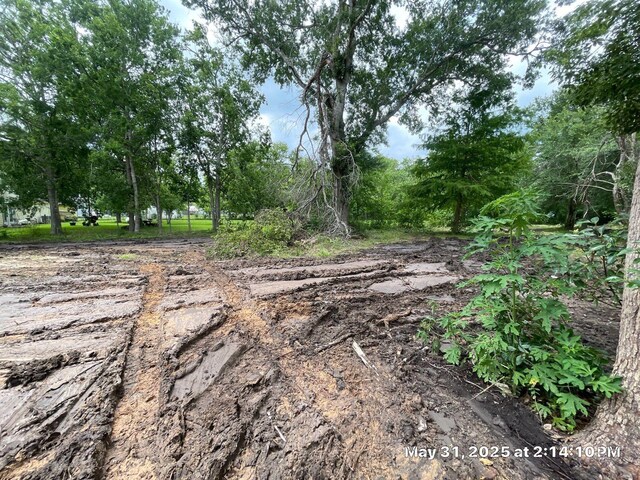 10371 County Road 909, Alvin, TX 77511 - photo 8