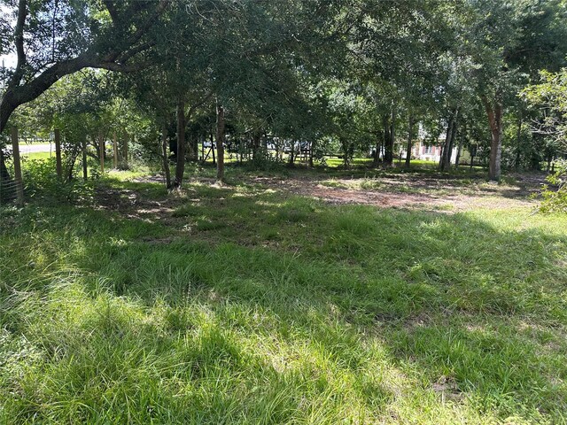 10371 County Road 909, Alvin, TX 77511 - photo 15