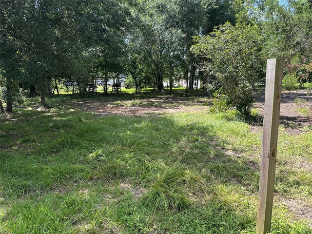 10371 County Road 909, Alvin, TX 77511 - photo 16