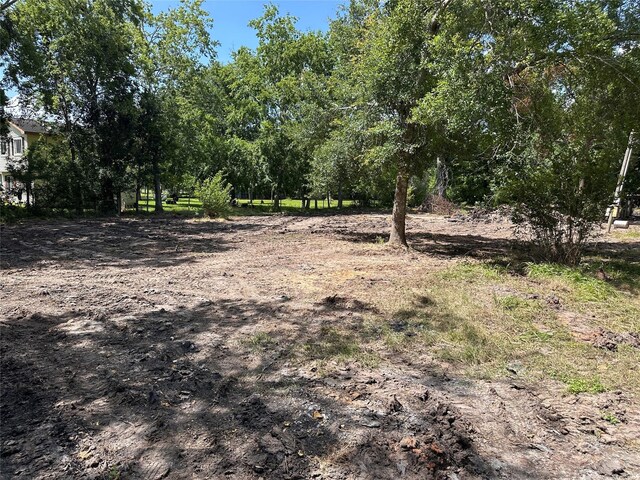 10371 County Road 909, Alvin, TX 77511 - photo 19