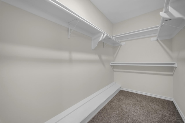 15905 Lakeview Dr, Jersey Village, TX 77040 - walk in closet featuring carpet floors