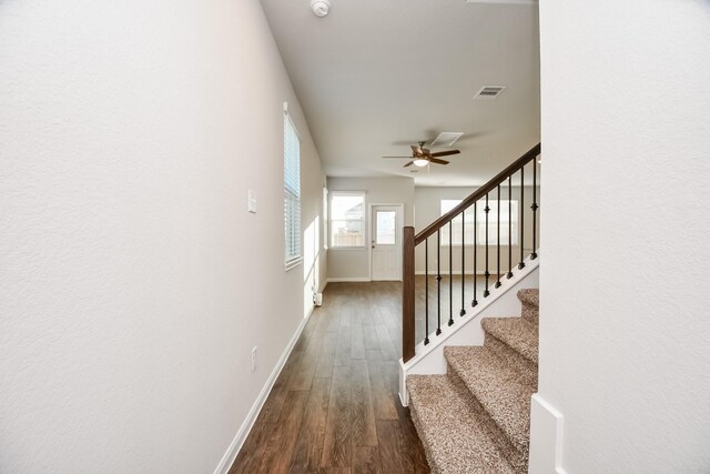 3903 Giorgio Pastel Pl, Katy, TX 77493 - photo 8