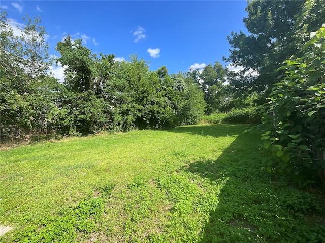 4806 Farmer St, Houston, TX 77020