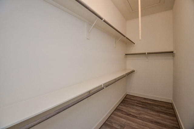 9414 Kerrwood Ln Unit B, Houston, TX 77080 - walk in closet featuring attic access and dark wood-type flooring