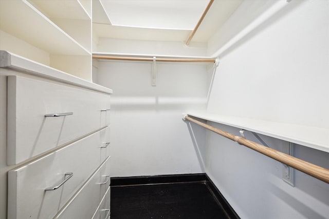 4521 Palmetto St, Bellaire, TX 77401 - view of spacious closet