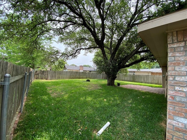 10123 Kent Towne Ln, Sugar Land, TX 77498 - view of yard