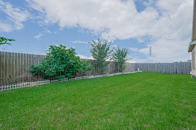 2110 Aztec Thrush Dr, Katy, TX 77494 - view of yard