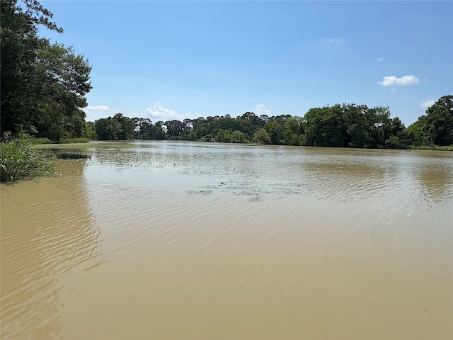 201 Deen Dr, Houston, TX 77336 - water view featuring a heavily wooded area