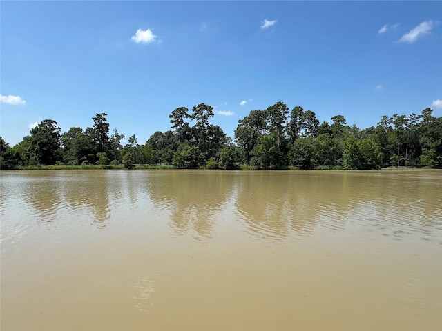 201 Deen Dr, Houston, TX 77336 - water view featuring a forest