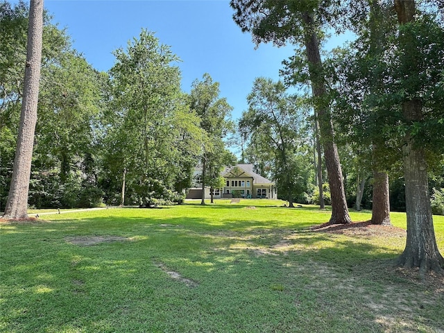 201 Deen Dr, Houston, TX 77336 - view of green lawn