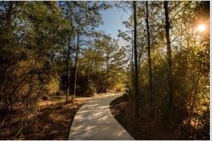 16847 Hammon Woods Dr, Humble, TX 77346 - view of property's community