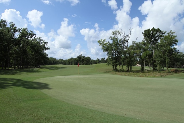 10410 Caribou Cv, Missouri City, TX 77459 - view of community featuring view of golf course and view of scattered trees
