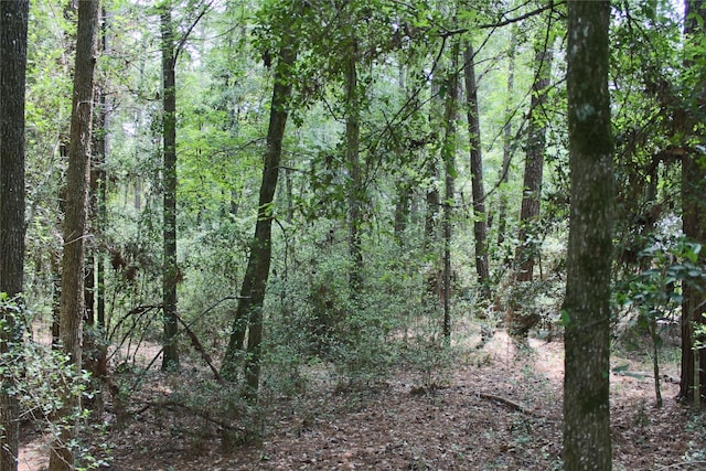 10362 Hunter Creek Ln, Conroe, TX 77304