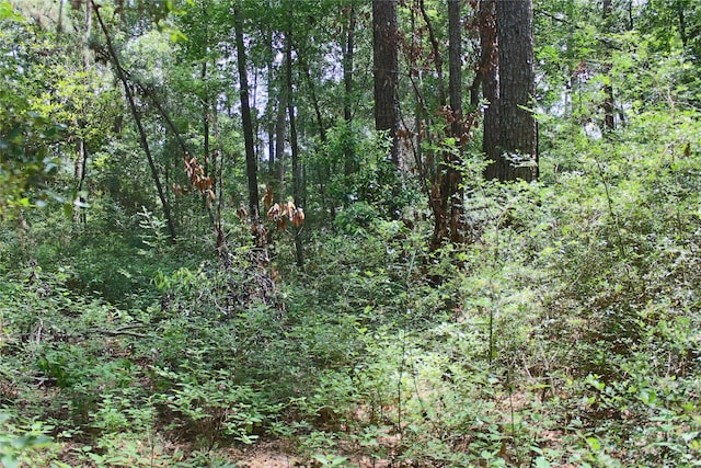 10362 Hunter Creek Ln, Conroe, TX 77304