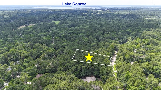 10362 Hunter Creek Ln, Conroe, TX 77304