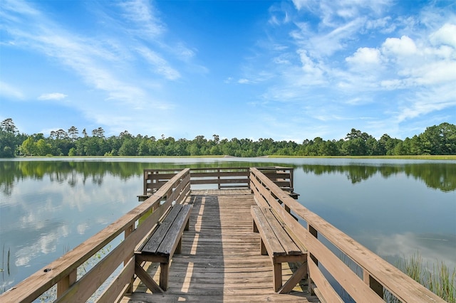 6707 S Trace Dr, Magnolia, TX 77354