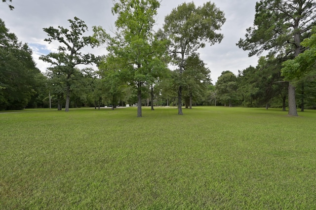 6707 S Trace Dr, Magnolia, TX 77354