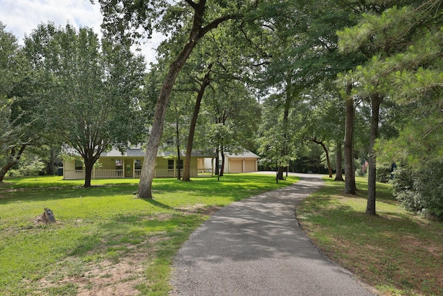 23302 Green Forest St, Hockley, TX 77447 - view of property's community with a yard and a garage