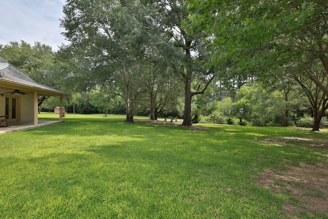 23302 Green Forest St, Hockley, TX 77447 - view of green lawn with ceiling fan, french doors, and a patio