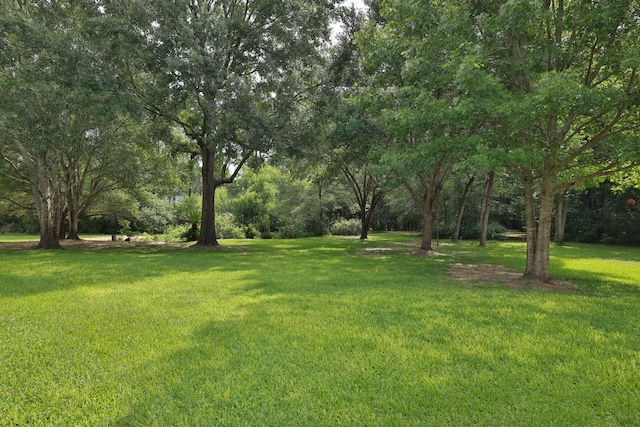23302 Green Forest St, Hockley, TX 77447 - view of green lawn