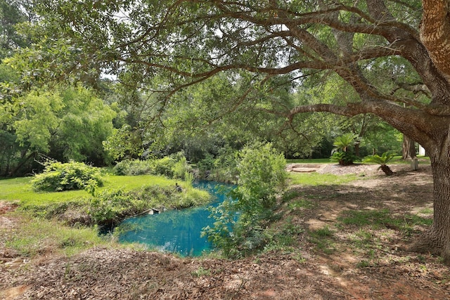 23302 Green Forest St, Hockley, TX 77447 - water view featuring a heavily wooded area