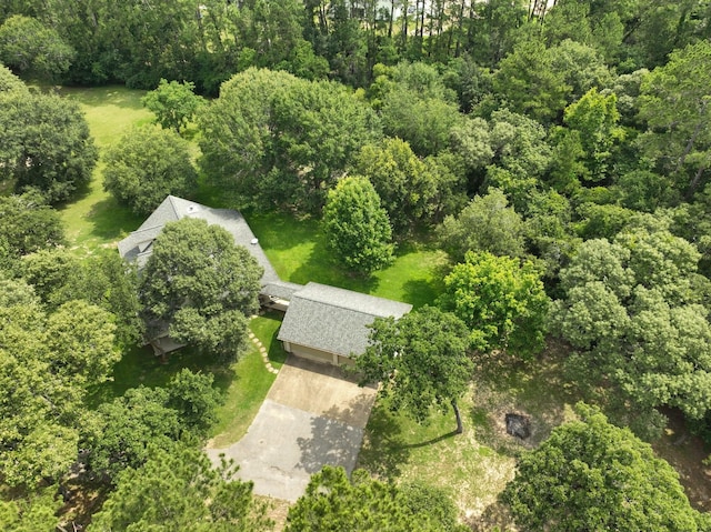 23302 Green Forest St, Hockley, TX 77447 - view from above of property featuring a heavily wooded area