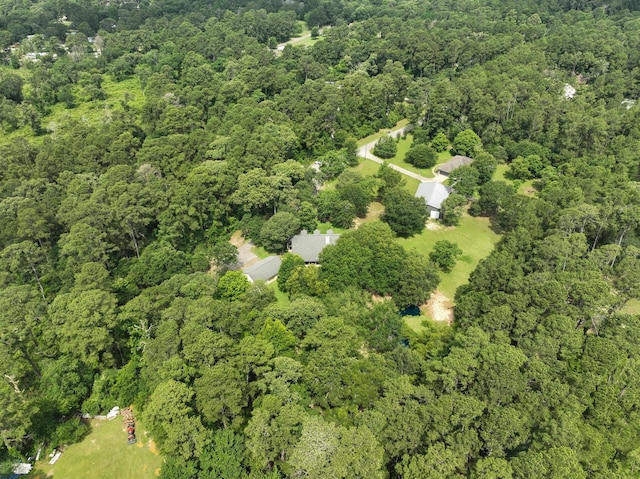 23302 Green Forest St, Hockley, TX 77447 - view of property location with a forest