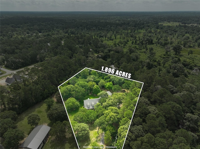 23302 Green Forest St, Hockley, TX 77447 - aerial overview of property's location with a heavily wooded area and property boundaries highlighted