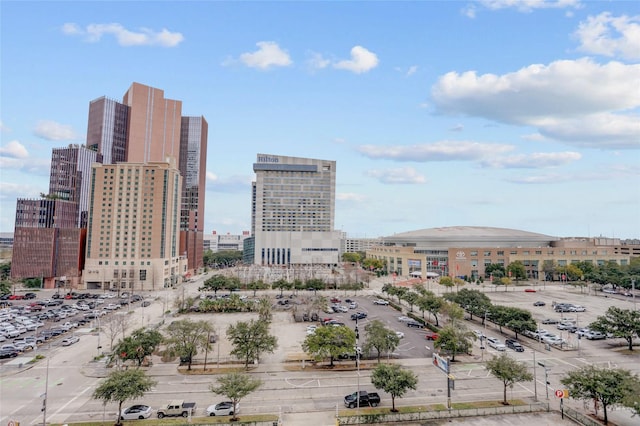 1211 Caroline St Unit 906, Houston, TX 77002 - city view