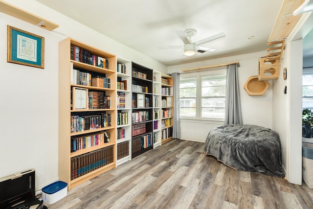 117 Tuna St, Galveston, TX 77550 - living area featuring wood finished floors, healthy amount of natural light, and a ceiling fan