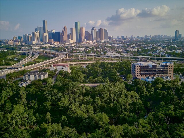 228 E Woodland St, Houston, TX 77009 - view of city skyline