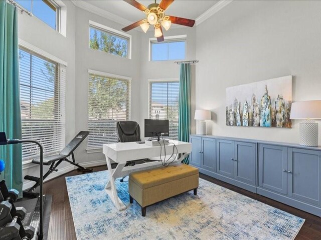 20326 Scarlett Saddle Ct, Cypress, TX 77433 - office area featuring ceiling fan, ornamental molding, dark wood-style floors, and a towering ceiling