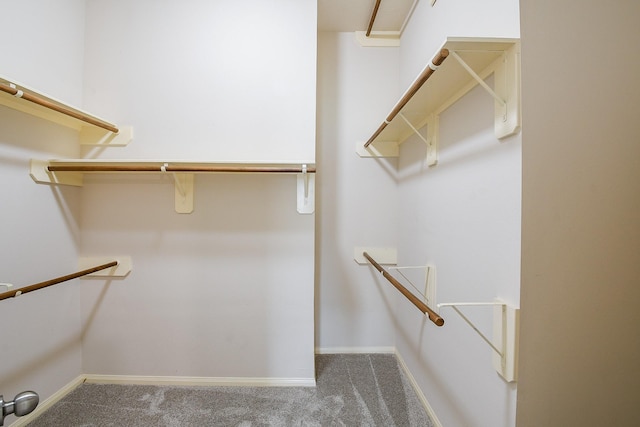 9203 Windy Spring Ct, Houston, TX 77089 - spacious closet featuring carpet floors