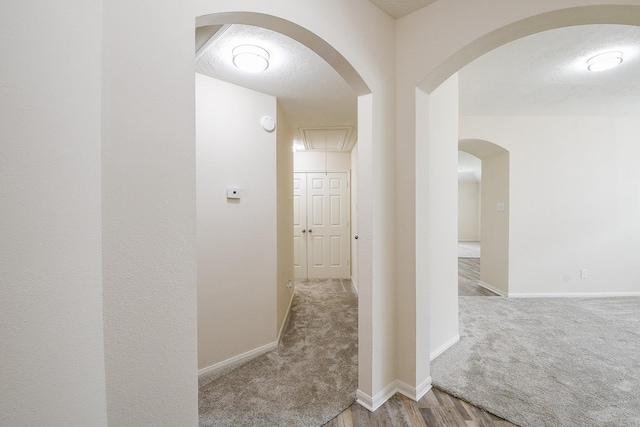 9203 Windy Spring Ct, Houston, TX 77089 - hall with carpet, baseboards, attic access, arched walkways, and a textured ceiling