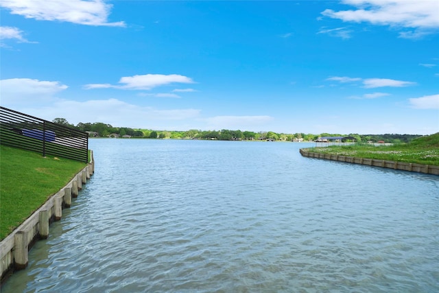 10693 S Lake Mist Ln, Willis, TX 77318 - photo 40