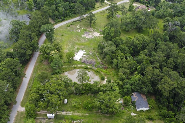 17340 Denise Rd, Conroe, TX 77306